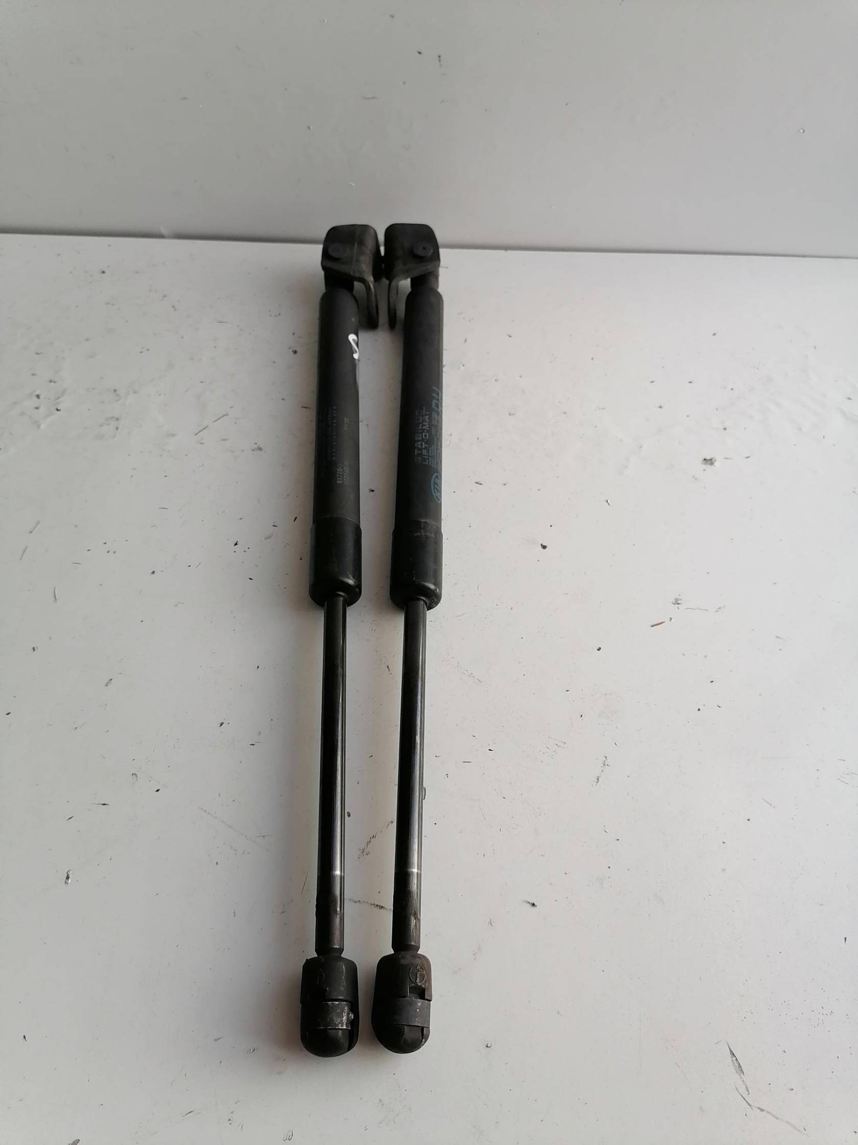 Asta ammortizzante portello post. sx.